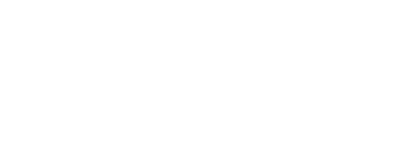 Network One S.r.l